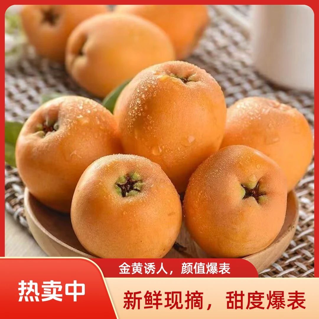 顺丰京东四川大巴山老树五星枇杷新鲜现摘现发