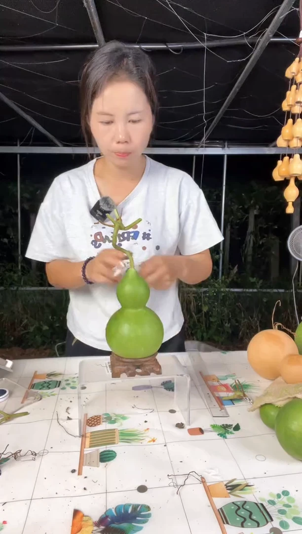 089天然葫芦摆件 一物一拍龙头不保售后