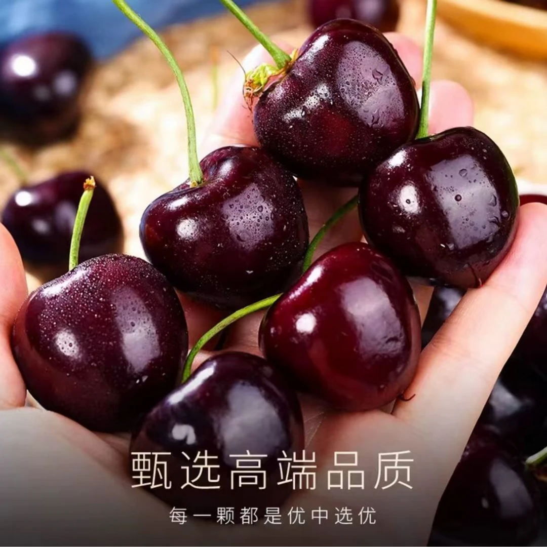 【美国黑珍珠】当季进口车厘子黑珍珠 J/2J | 3斤5斤顺丰包邮