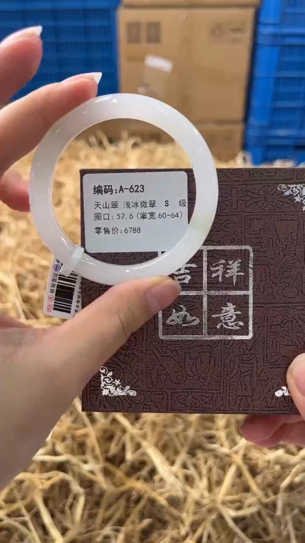 未镶嵌手镯石英质玉A-623