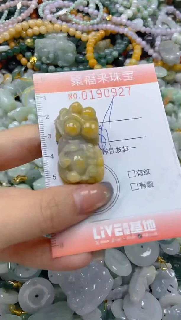 翡翠未镶嵌颈饰闪购0190927