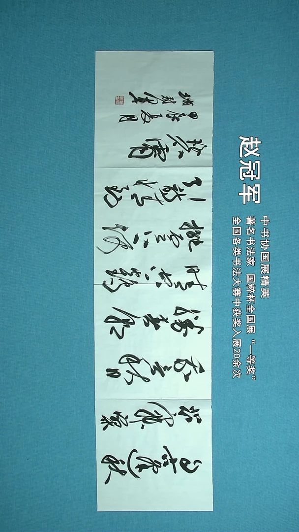 【闪购商品】书法165 上海赵冠军中书协138*34