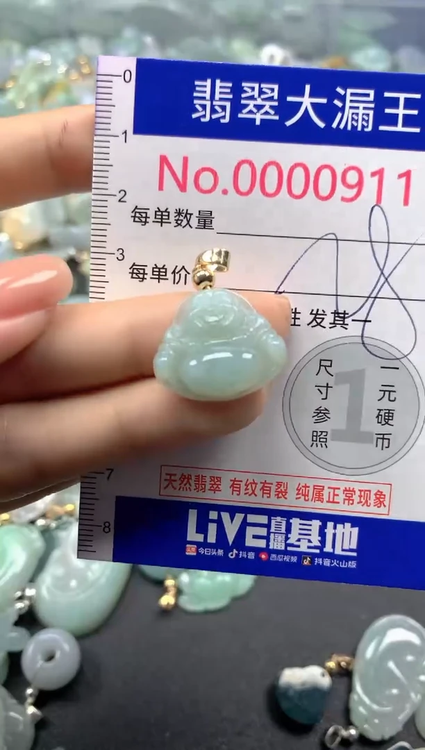 颈饰未镶嵌翡翠911