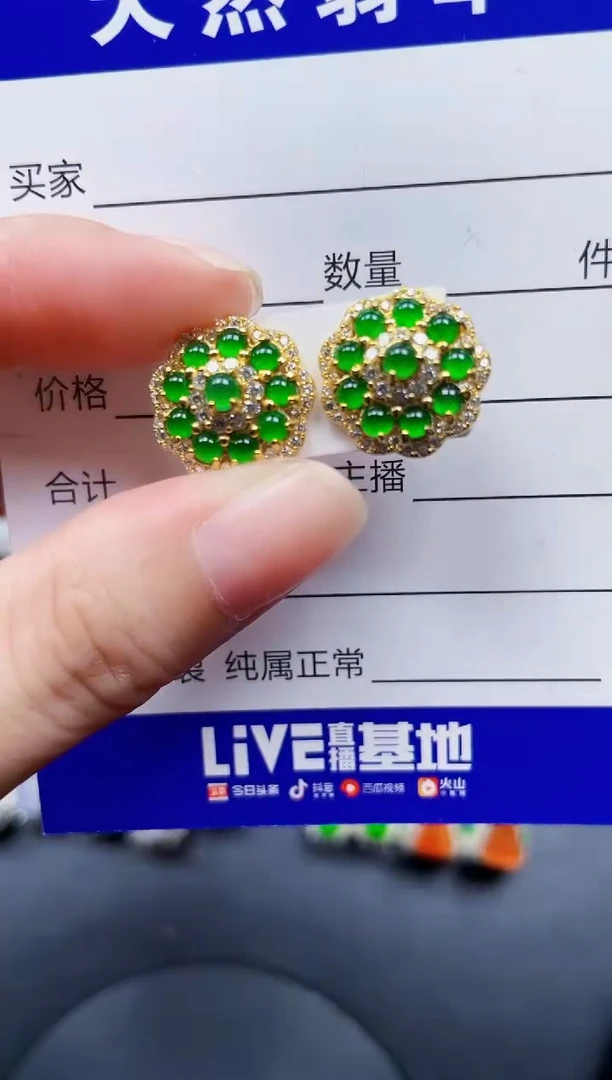 银S925镶嵌翡翠耳饰167