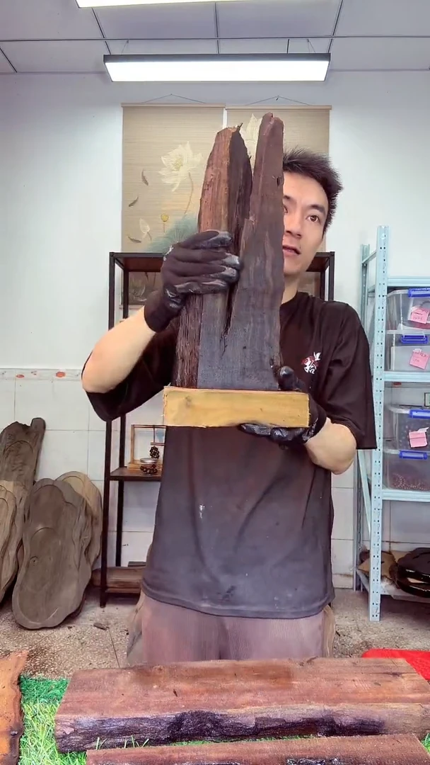 金丝楠小叶祯楠416