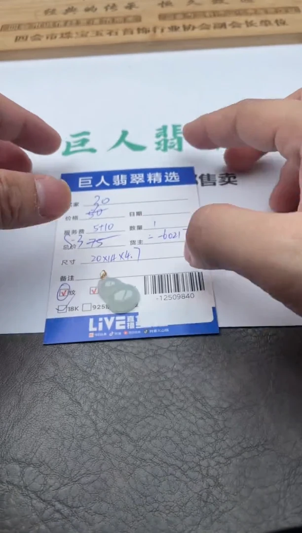 翡翠18K金镶嵌颈饰-12509840