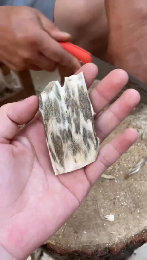 沉香碎屑沉香棋楠沉香 原料文创1