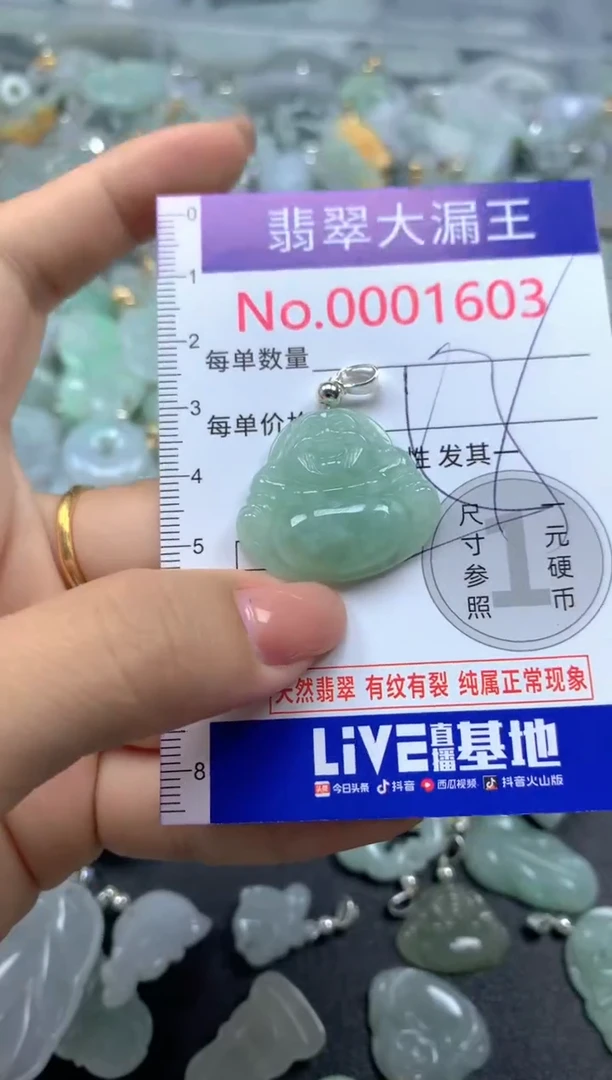 颈饰未镶嵌翡翠1603