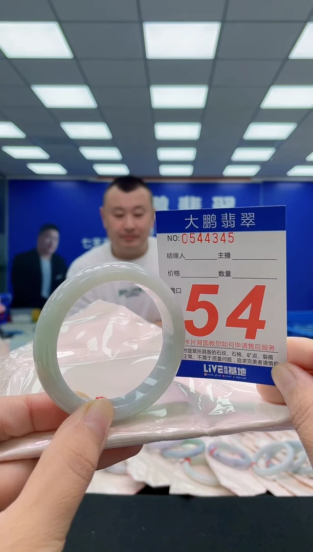 未镶嵌手镯翡翠AAAAAAAAA
