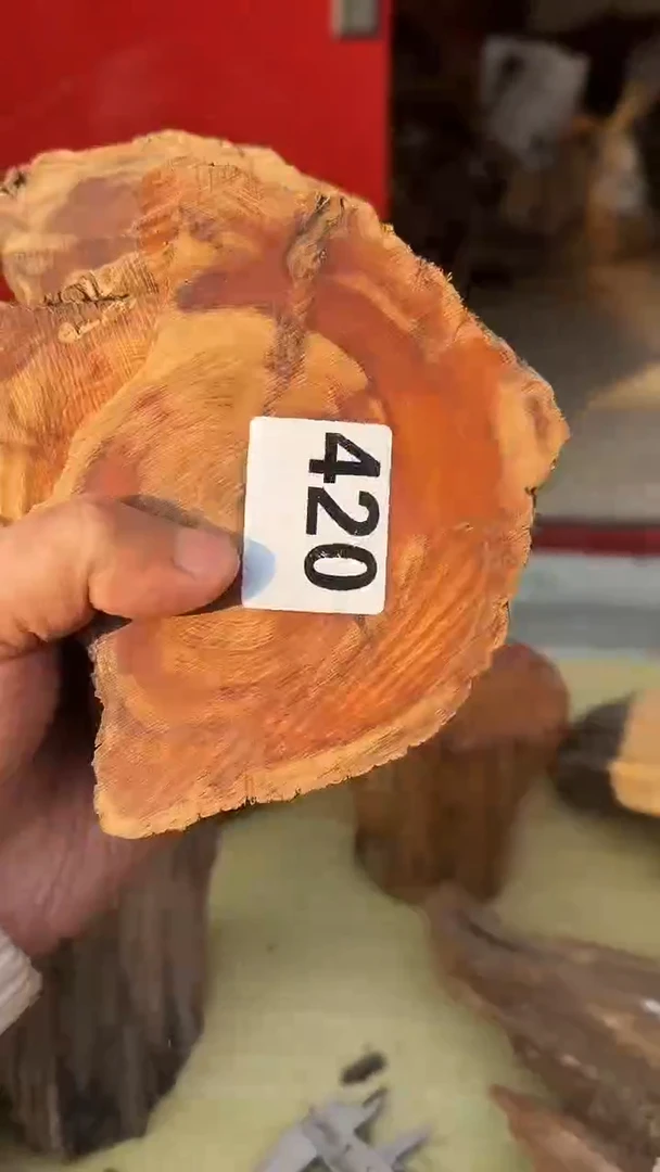 柏木（崖柏）太行陈化崖柏切片！随机一片！（1单1片）420