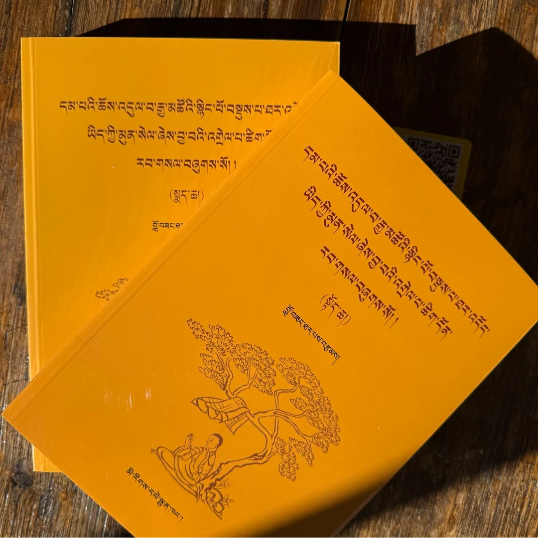 甘丹念扎仁波切新书:藏文