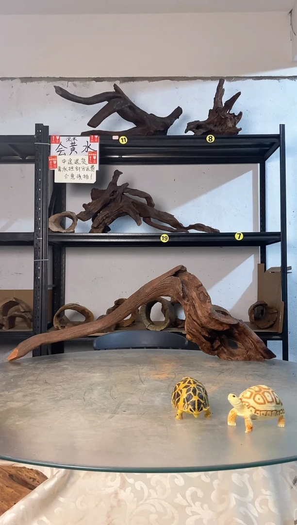 奈**️鱼缸爬宠造景素材614