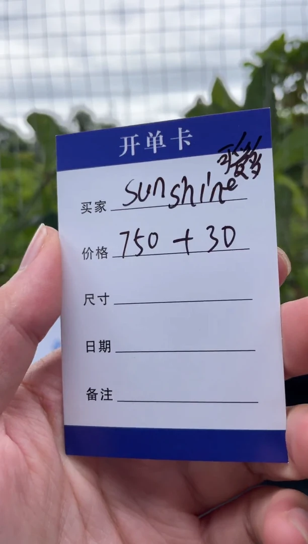 非金属无S****8手镯下单链接一单一付
