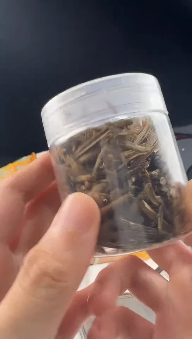 沉香沉香碎屑^**^奇楠沉香沉水虫草勾丝100克多样性发一