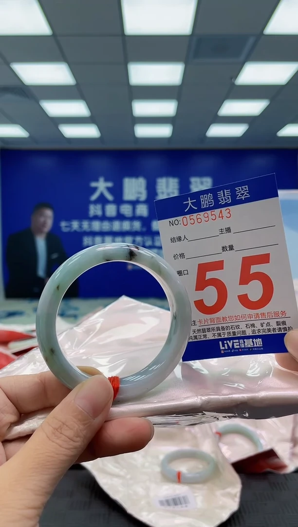未镶嵌手镯翡翠AAAAAAAAAA