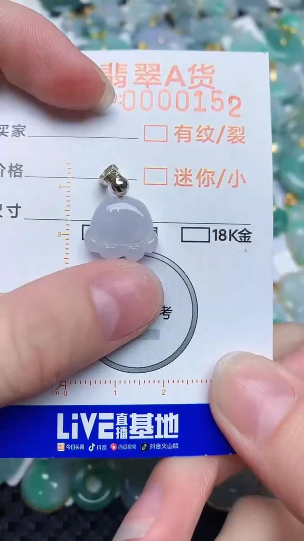 【闪购商品】翡翠颈饰未镶嵌4534534534