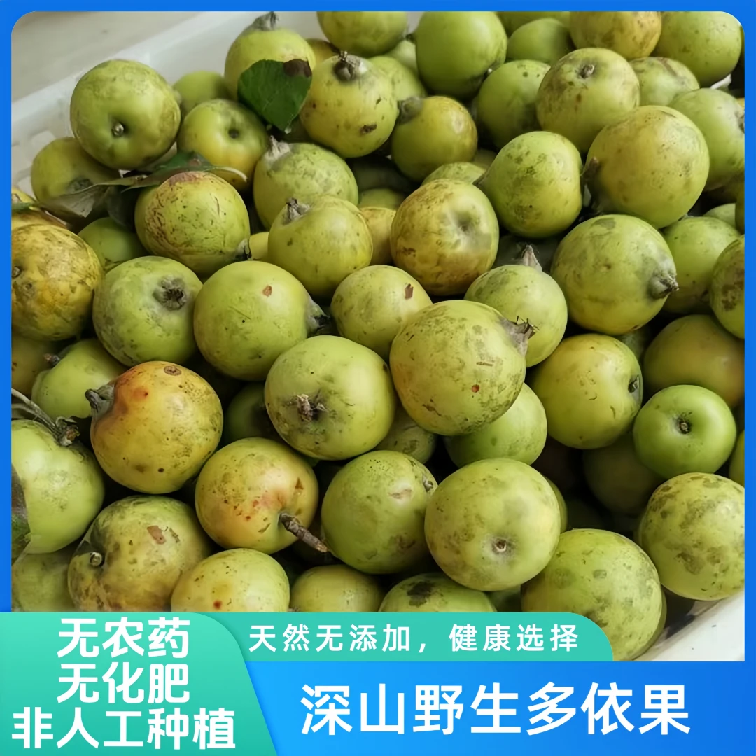 云南特产新鲜野生品种酸味云南特产云南特产土特产水果多依果孕妇