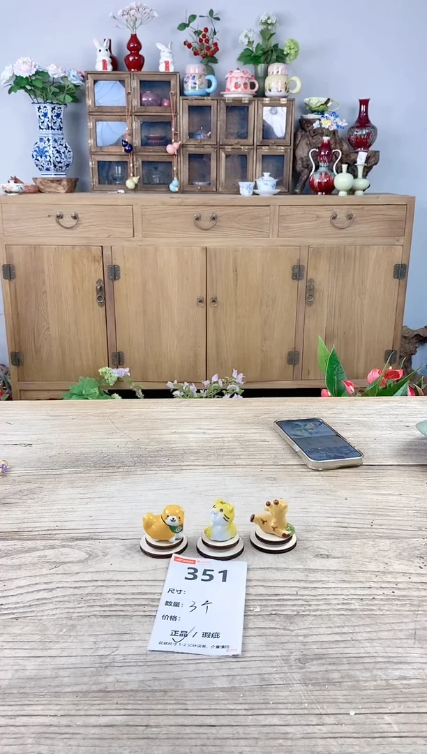 小玩子花盆直播号351