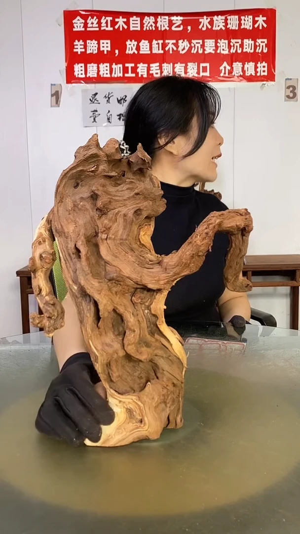 木楊*白金丝红木 羊蹄甲