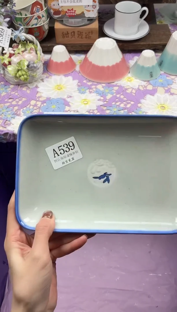 瓷片用****4                A539