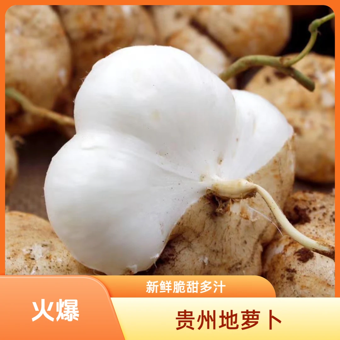 贵州新鲜地萝卜凉薯地瓜多汁脆甜水果