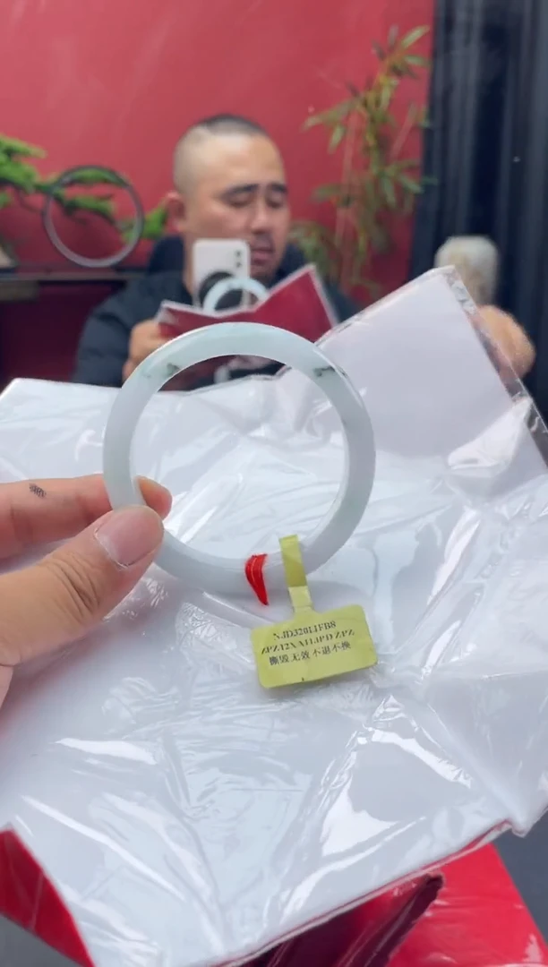 未镶嵌手镯翡翠11