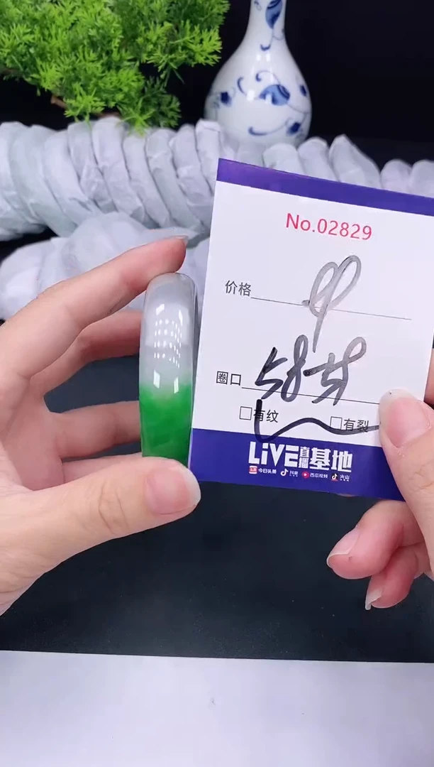 未镶嵌手镯翡翠2829
