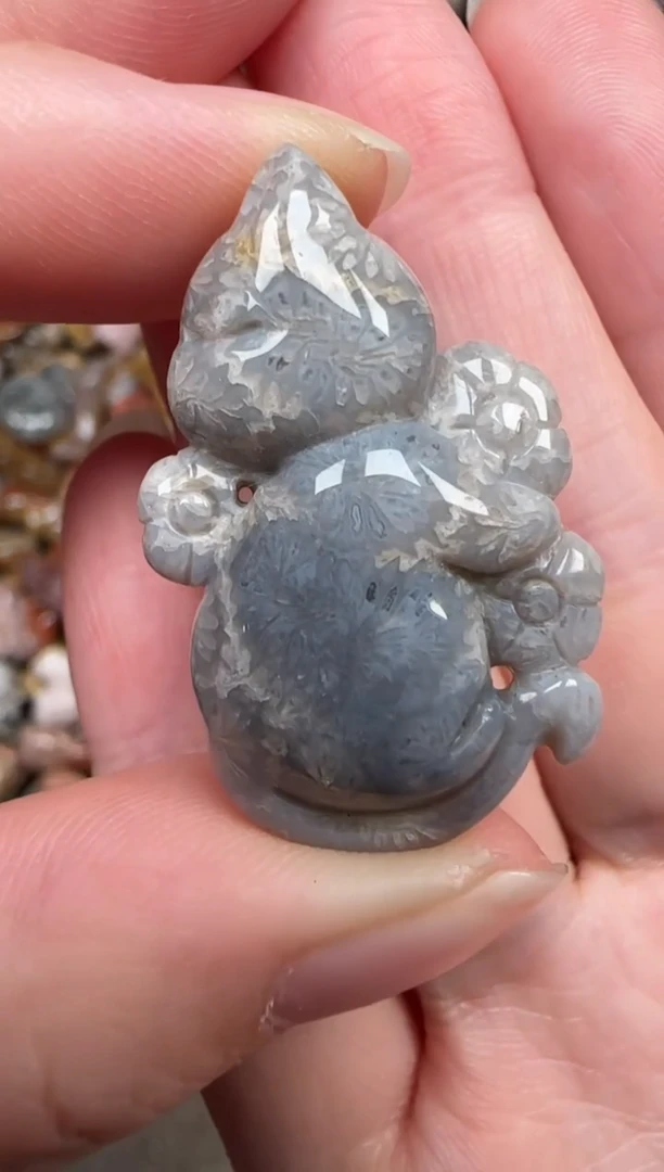 颈饰未镶嵌硅化珊瑚（珊瑚玉）274