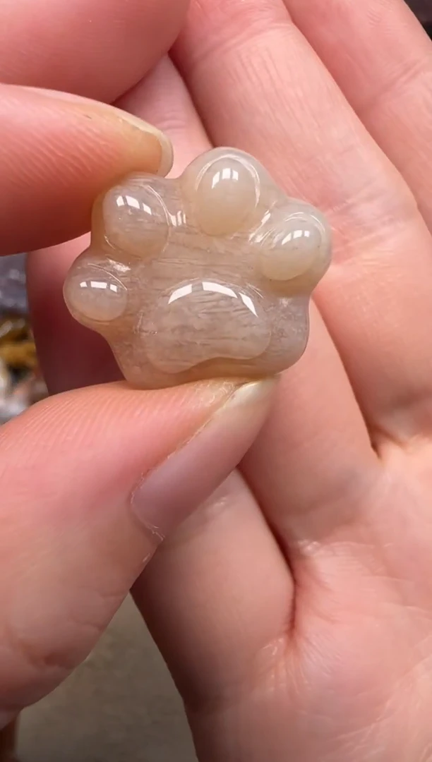 硅化珊瑚（珊瑚玉）未镶嵌颈饰064