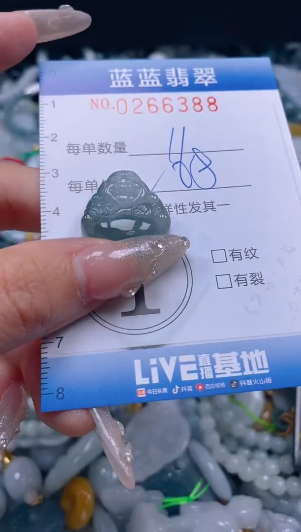 翡翠未镶嵌颈饰闪购0266388多样性发其一