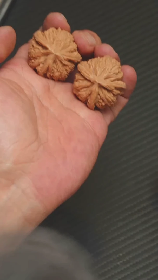 文玩核桃链接 35御龙 14