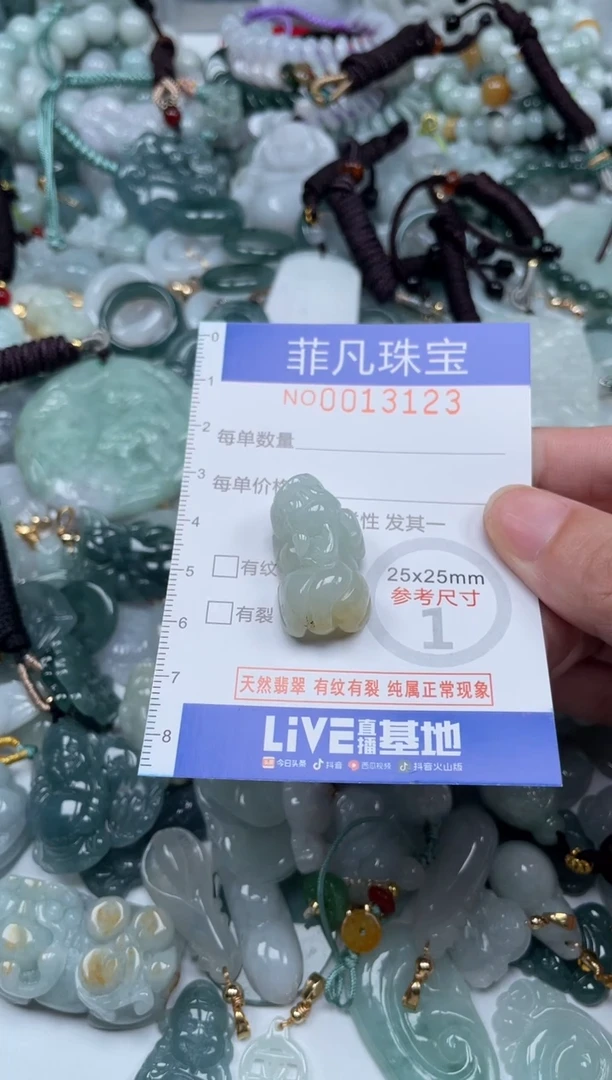 颈饰未镶嵌翡翠13123
