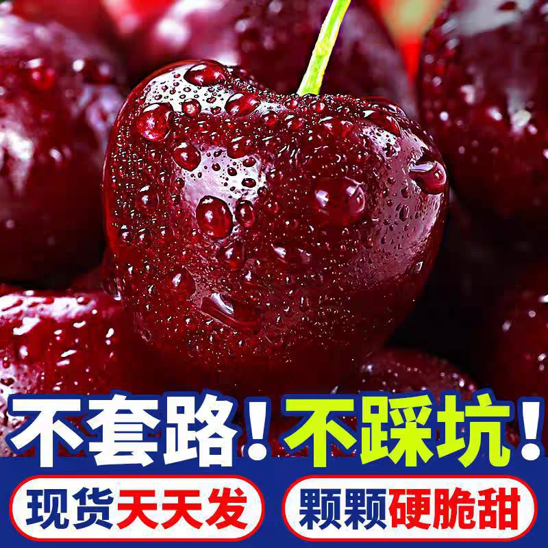 智利桑提娜车厘子进口车厘子2JD-5JD脆甜多汁海运新鲜内附果径卡