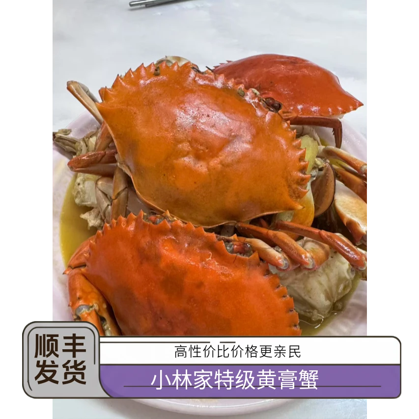 【特级黄膏青蟹】包活包肥顺丰发货