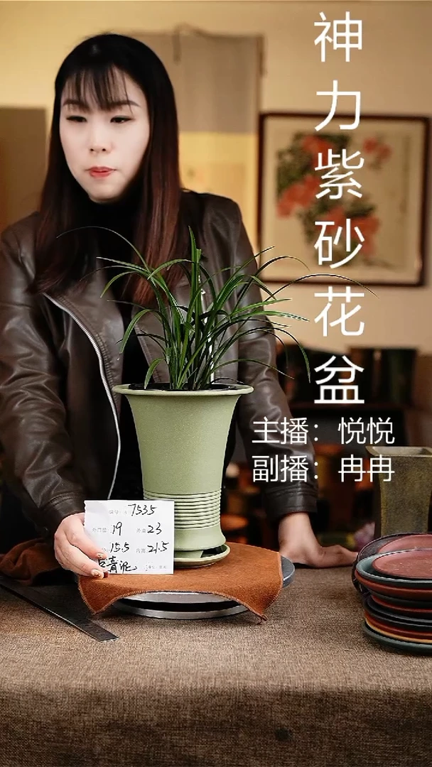 紫砂花盆硕哥来啦7535+z