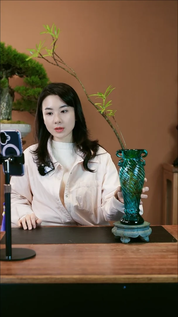 【闪购商品】盆景栀子花