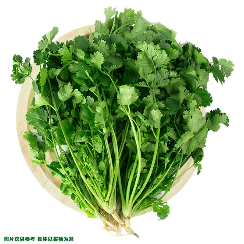 【散】香菜约100g±20g/份