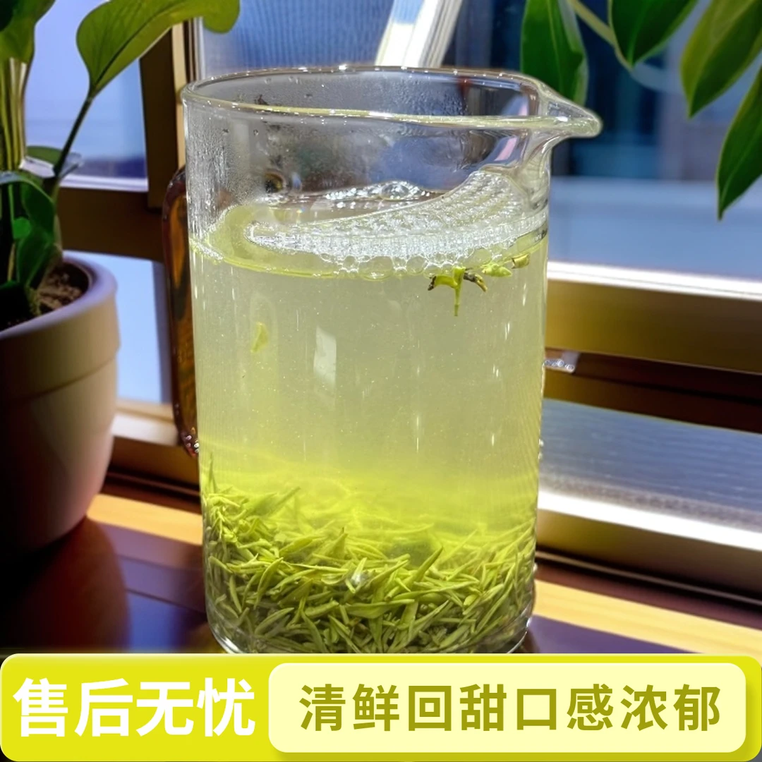 信阳毛尖绿茶2025新茶雨前精品嫩芽头浓郁回甘回甜高山茶花香型