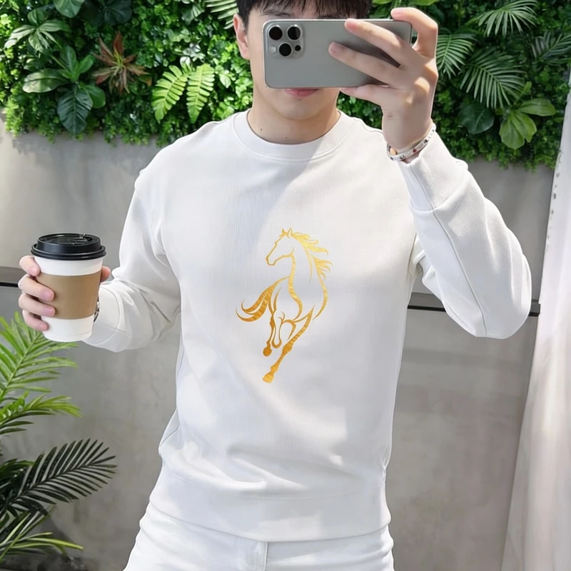 男装潮流男士长袖卫衣秋冬套头长袖圆领打底衫休闲时尚百搭高档