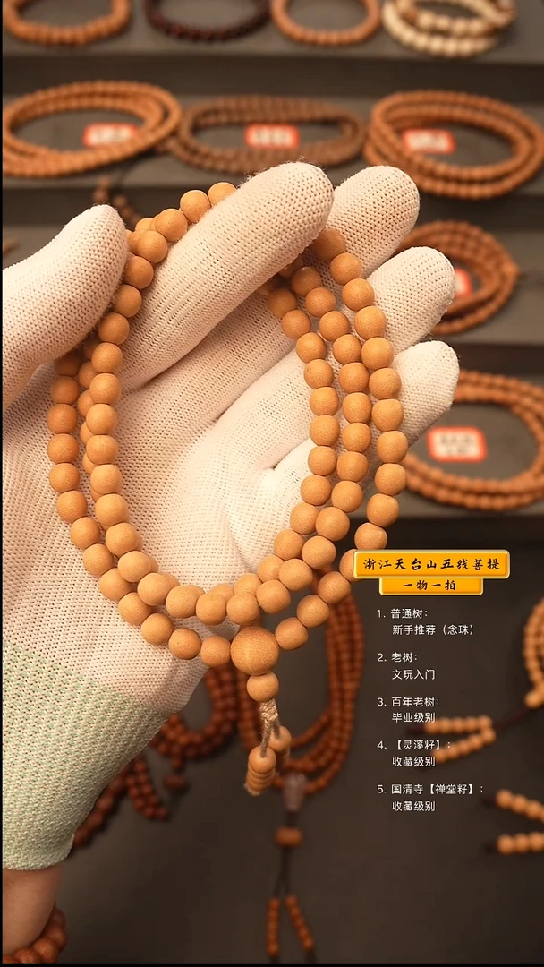 吊坠五线菩提Z**.q脖挂