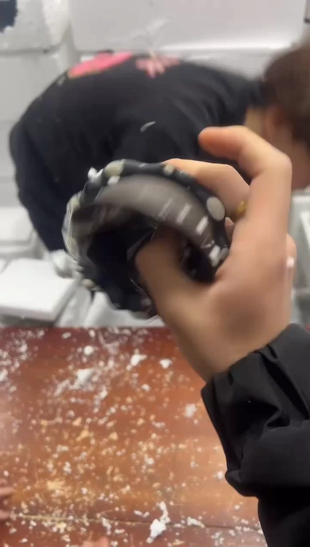 【闪购商品】其他其他其他其他其他