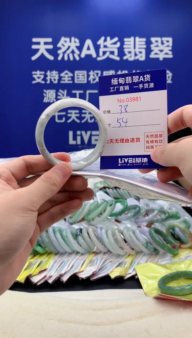 未镶嵌手镯翡翠81