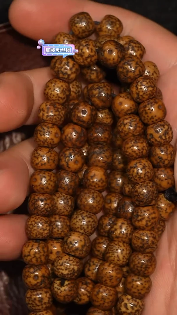 冲赛康胡子哥，藏传念珠230