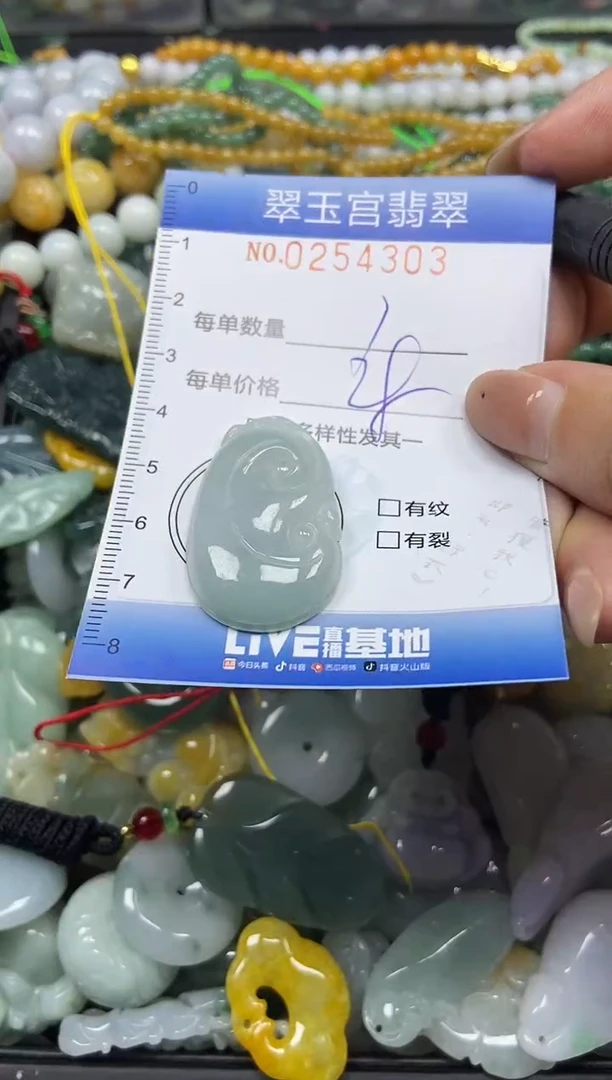 颈饰未镶嵌翡翠闪购C0254303