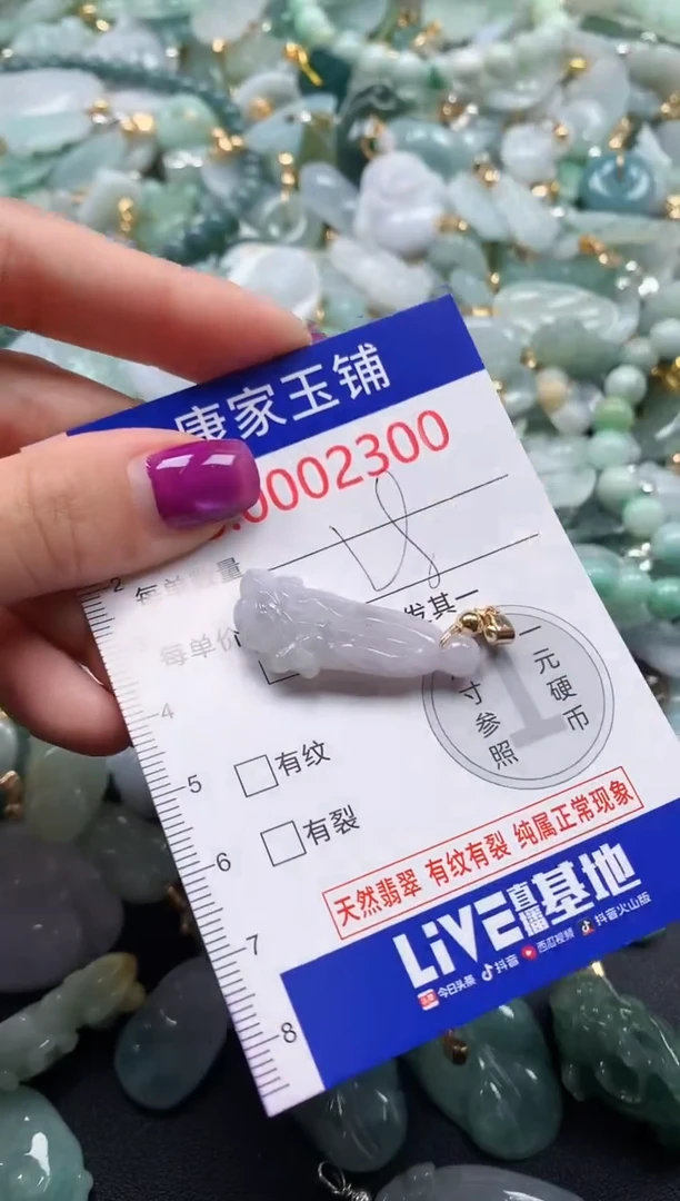颈饰未镶嵌翡翠2300