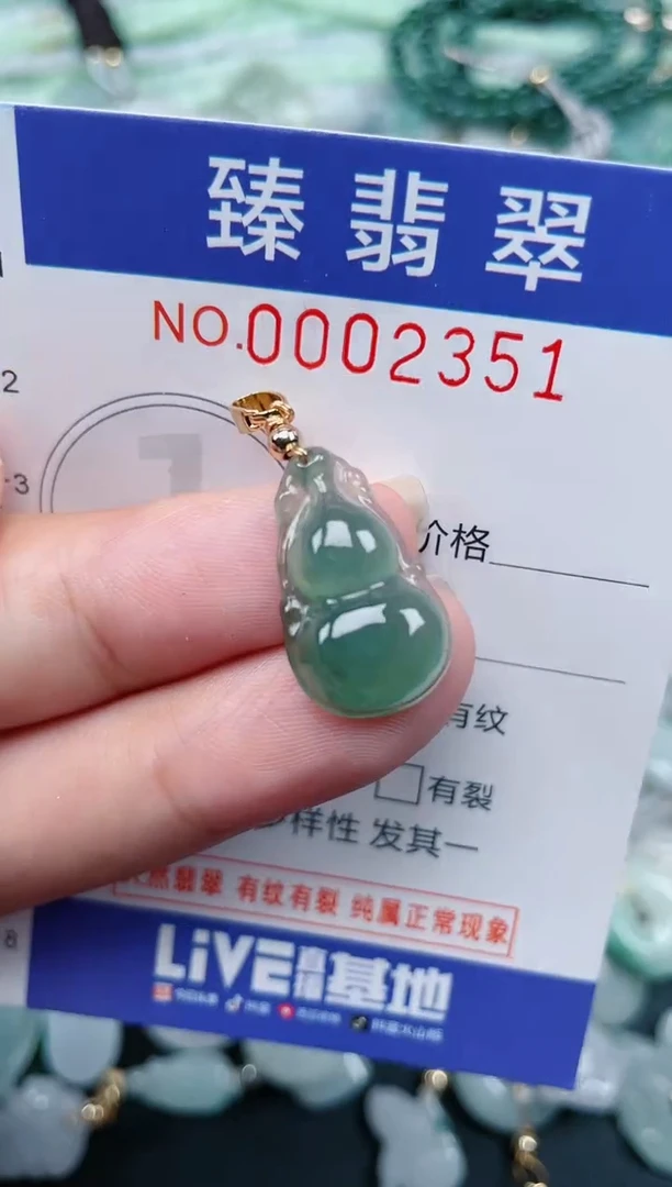 翡翠未镶嵌颈饰.0002351