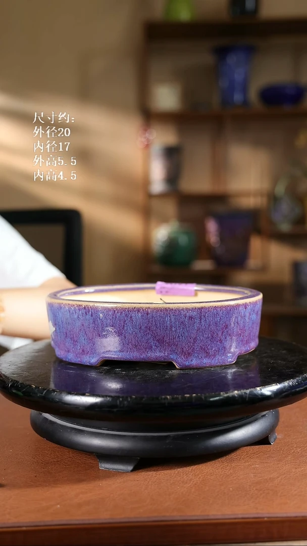 164      8寸椭圆盆
