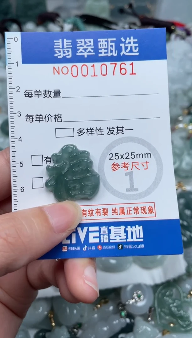 颈饰未镶嵌翡翠10761