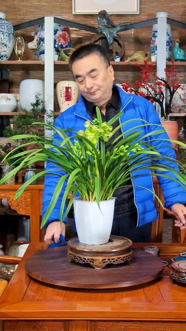 无花朵秀* 水之韵水培 香兰