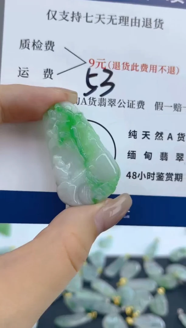 颈饰未镶嵌翡翠天然A货翡翠  53
